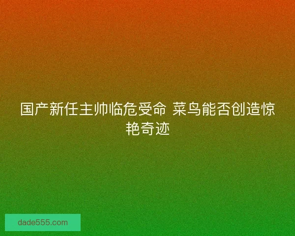 国产新任主帅临危受命 菜鸟能否创造惊艳奇迹