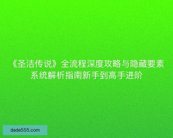 《圣洁传说》全流程深度攻略与隐藏要素系统解析指南新手到高手进阶
