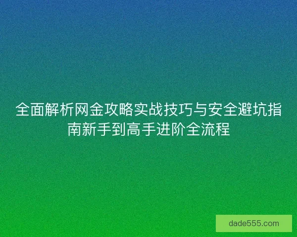 全面解析网金攻略实战技巧与安全避坑指南新手到高手进阶全流程